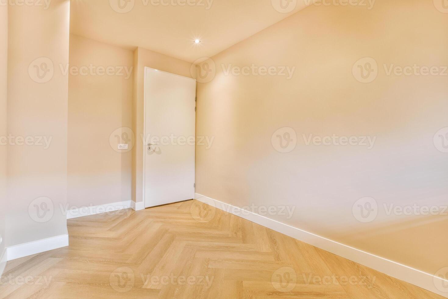 A room with wooden floors and a white door photo