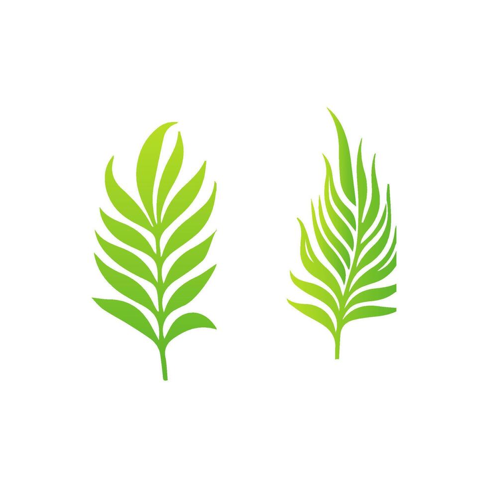 Two green leaves are shown on a white background vector