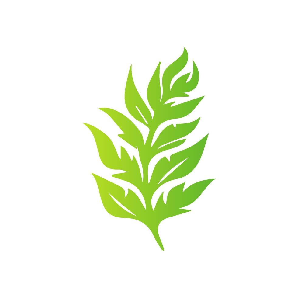 A green leaf is shown on a white background vector