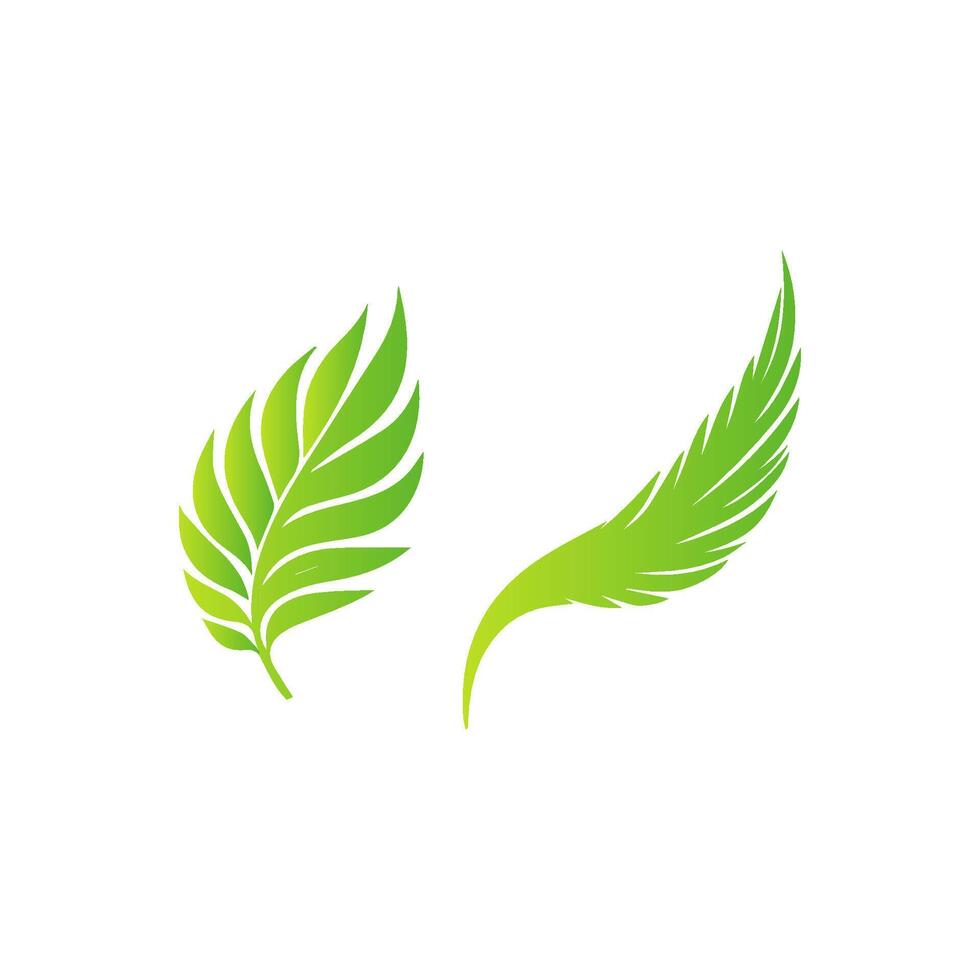 Two green leaves on a white background vector