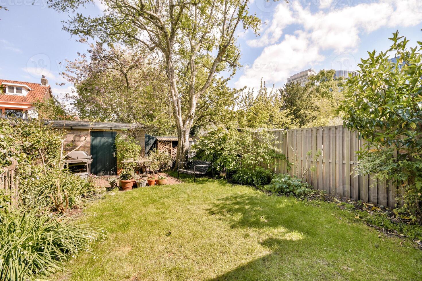 A backyard with a fence and a garden photo