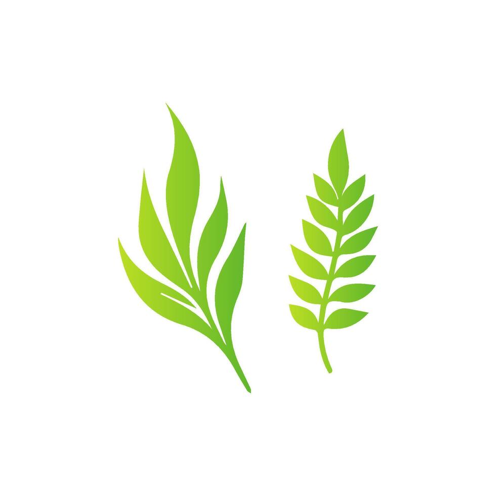 A green leaf and a leaf on a white background vector