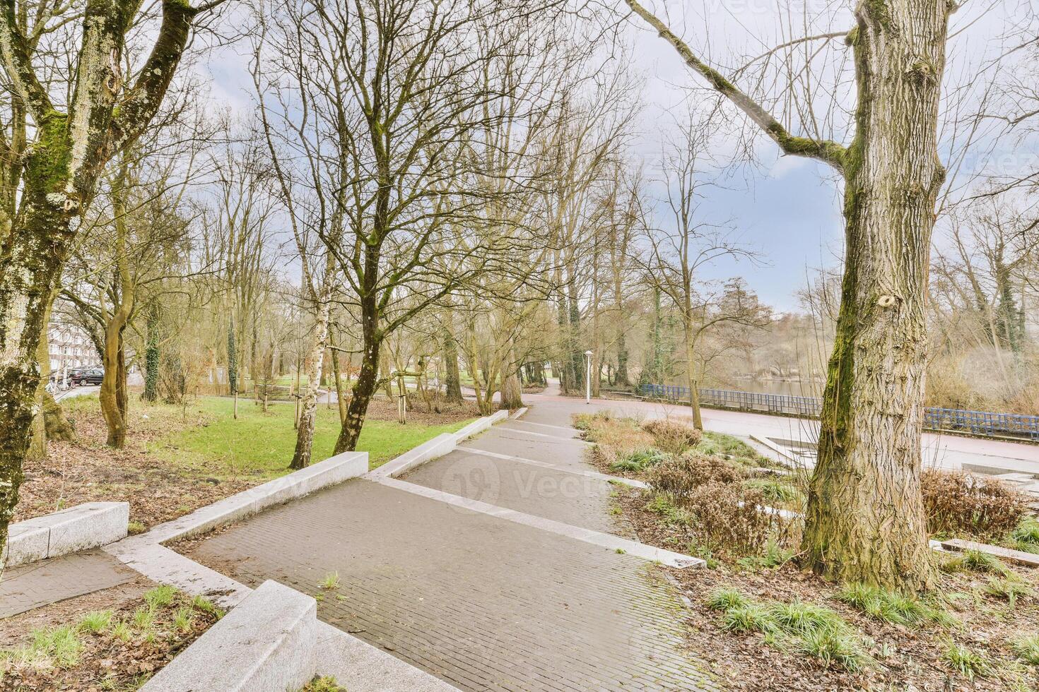A path in a park photo