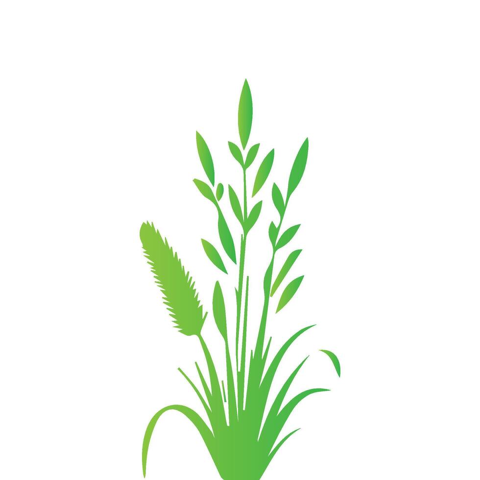 Green grass and plant icon vector
