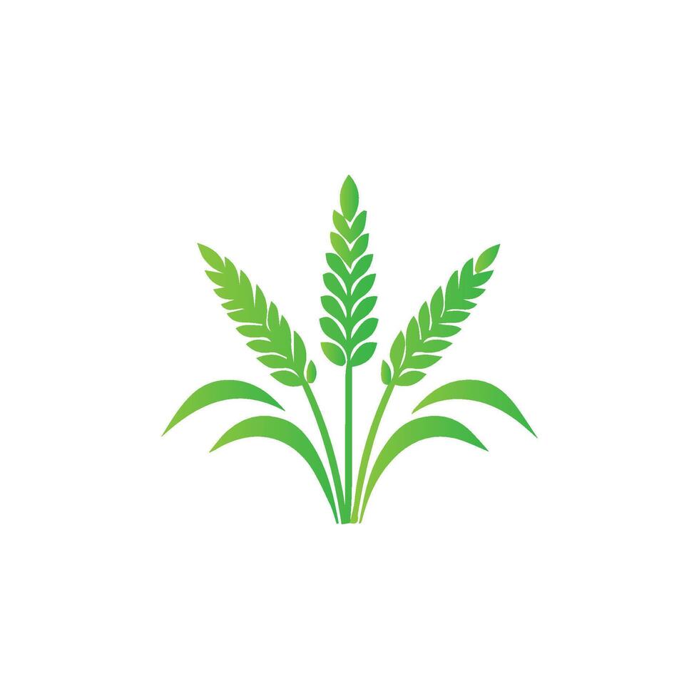 A green wheat plant logo on a white background vector