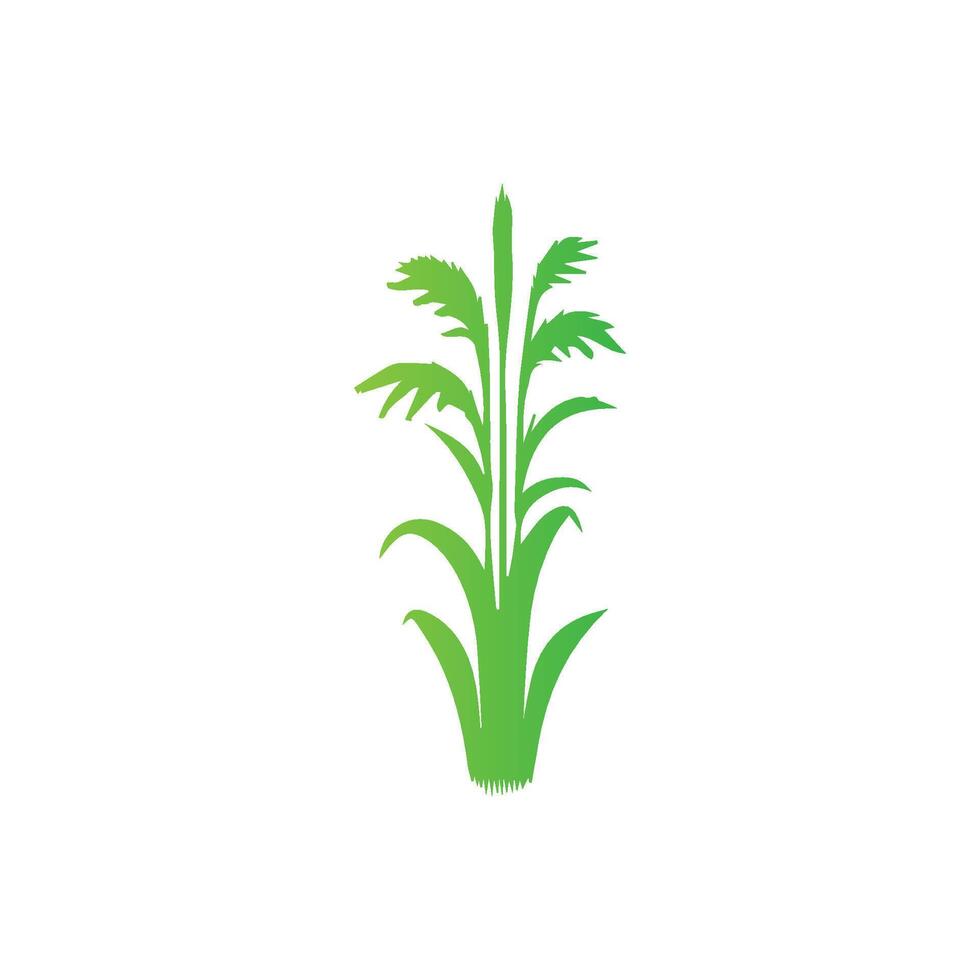 Corn plant icon illustration vector
