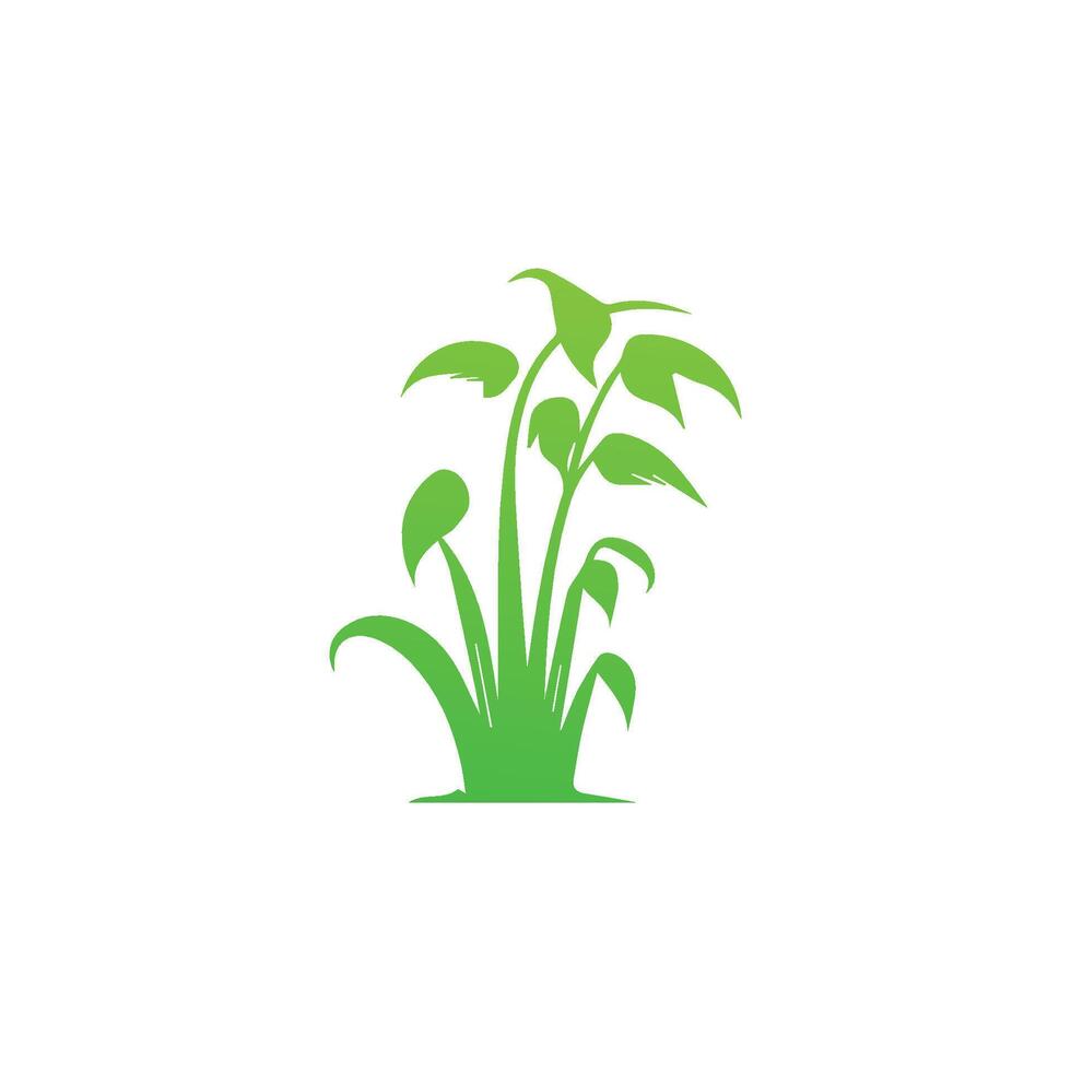 A green plant with leaves on it is shown in this logo vector