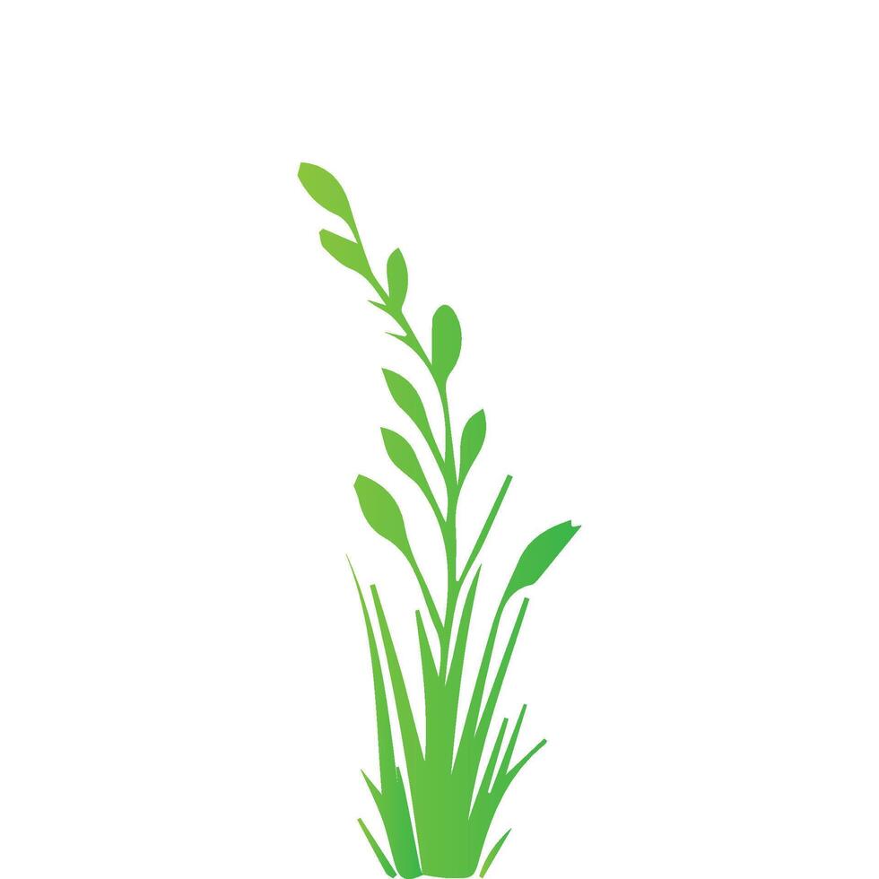 A green grass plant on a white background vector