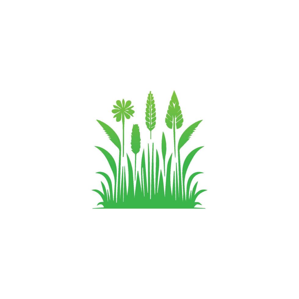 Green grass and flowers on a white background vector