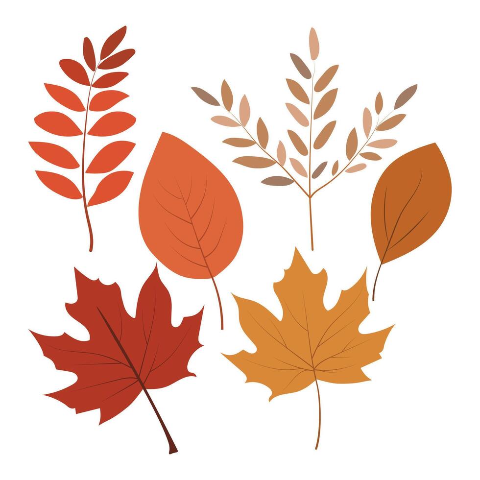 Set of autumn leaves. Simple autumn tree leaves vector