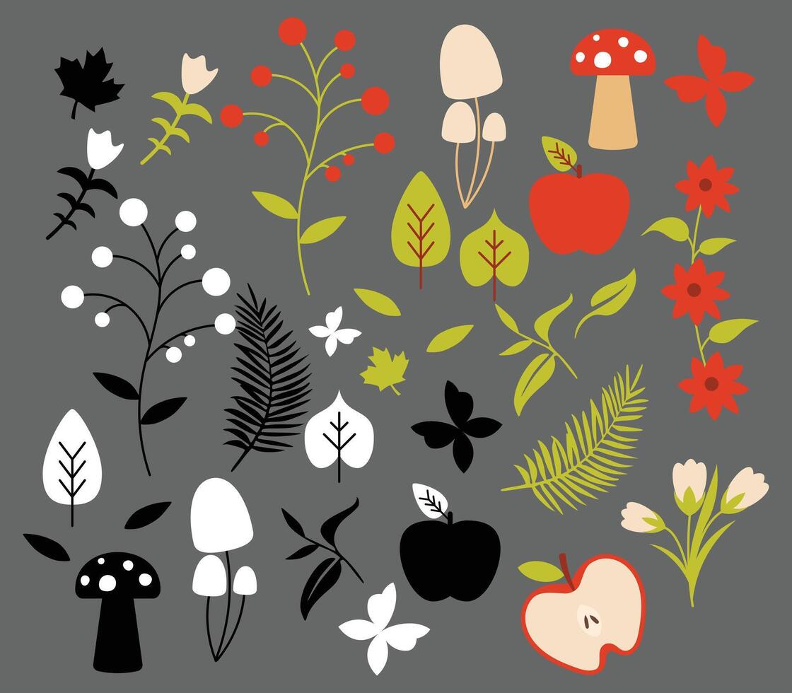 Set of natural elements. Collection of plants and insects vector