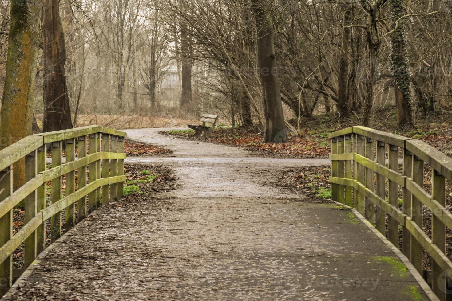 A wooden bridge over a path in the woods photo