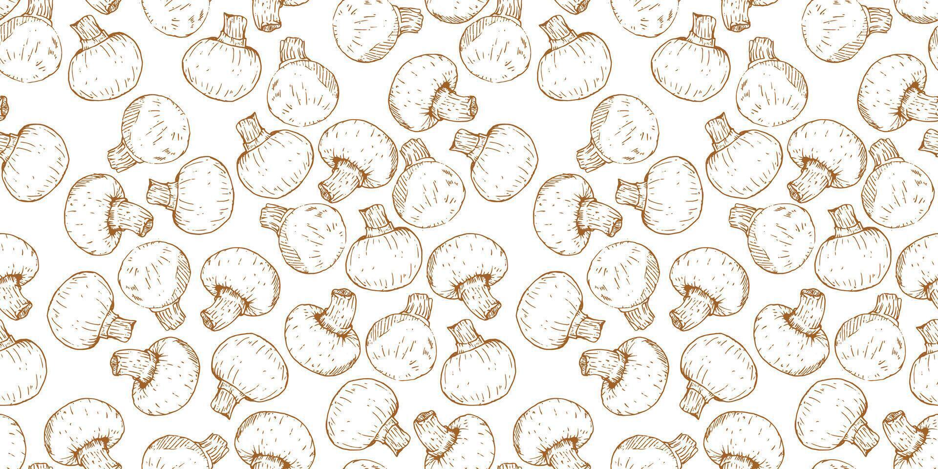 Mushrooms on white background vector
