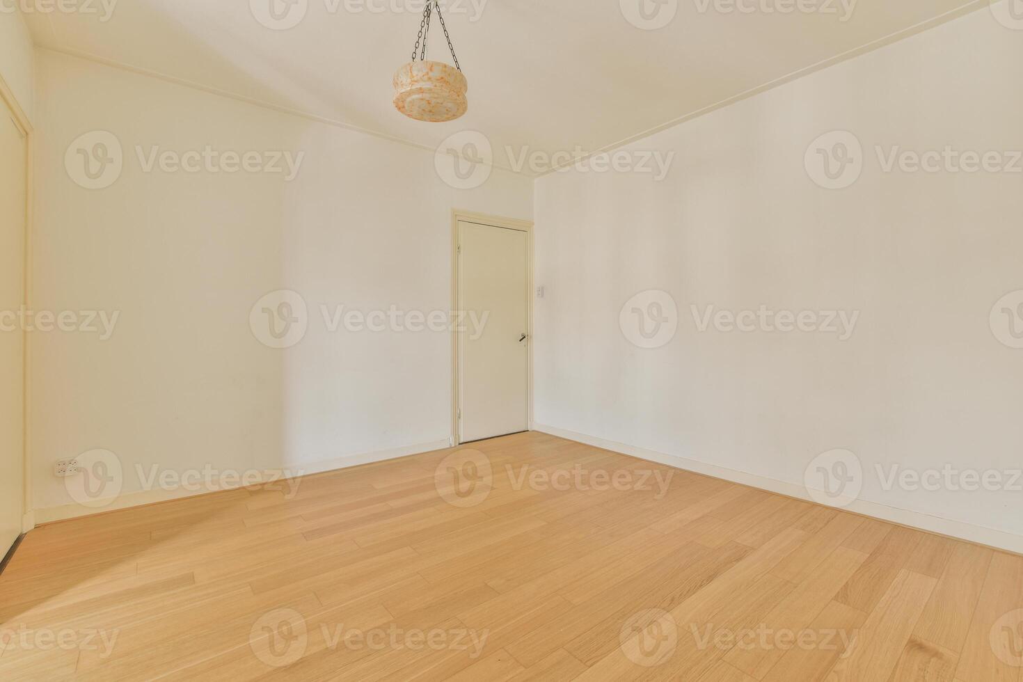 A room with white walls and wooden floors photo