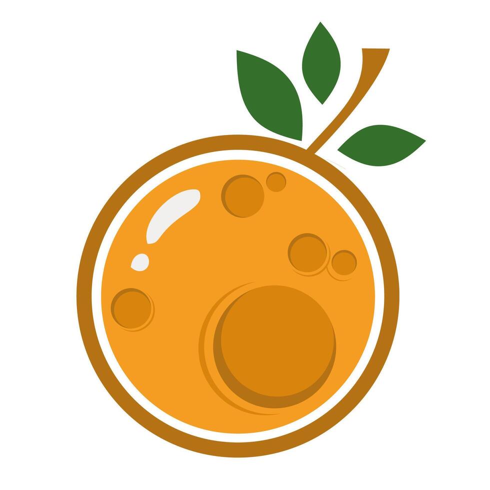 Orange fruit icon vector