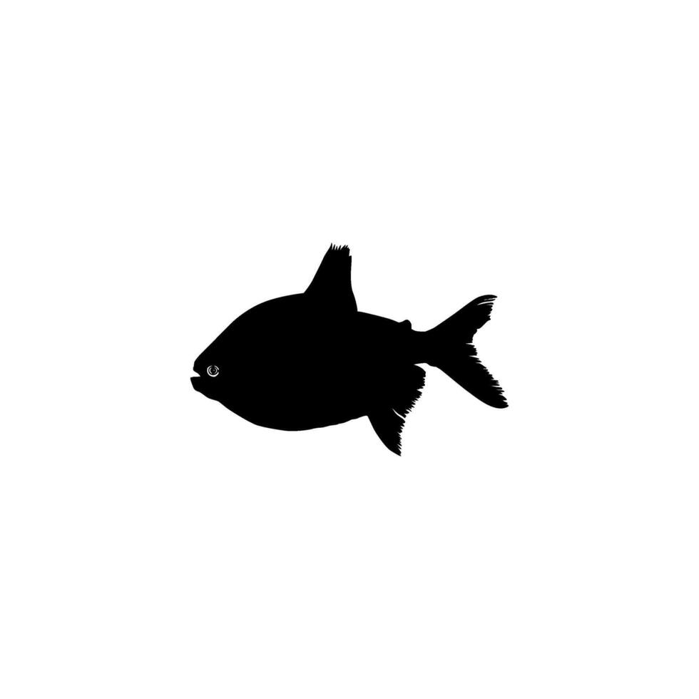 Silhouette of the Silver pomfret, Bramidae, pampo, or Pampus Fish. Flat Style. Can use for Logo Gram, Animal Illustration, Pictogram, Website, or Graphic Design Element vector