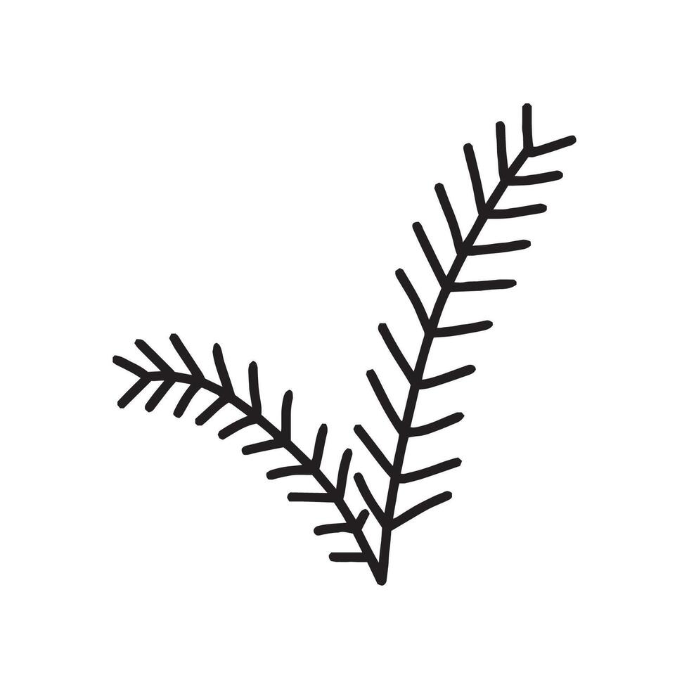 Fir branch in doodle style, simple. vector
