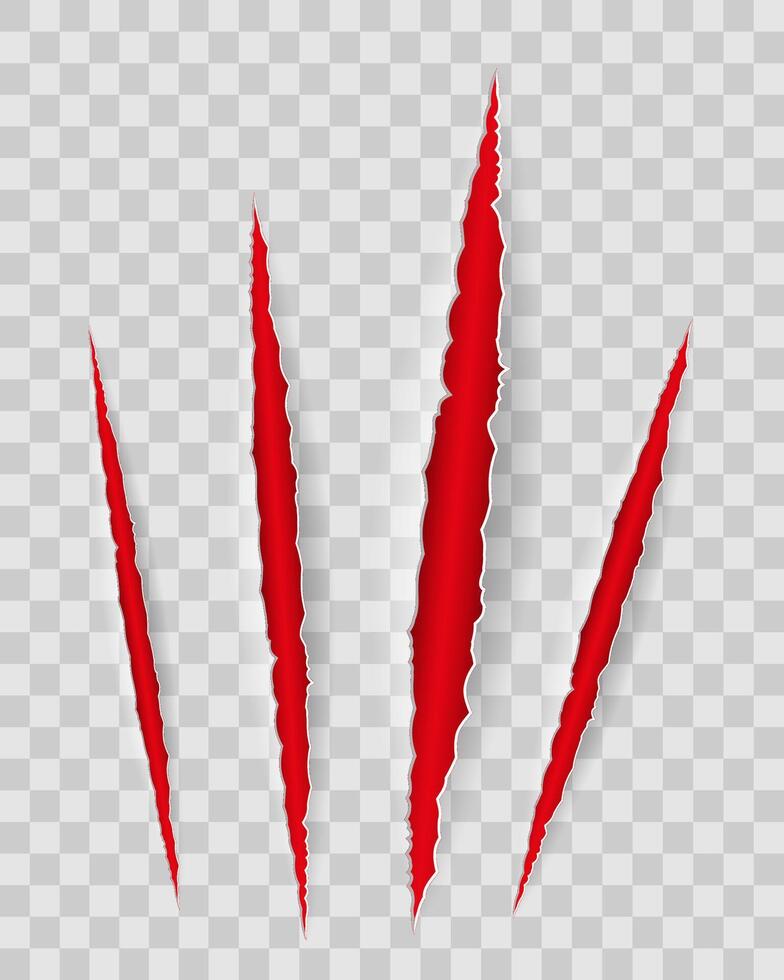 trace of scratches with claws until blood illustration isolated on background vector