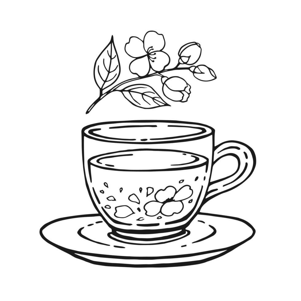 Glass cup of tea, jasmine. Hand drawn illustration in outline style. vector