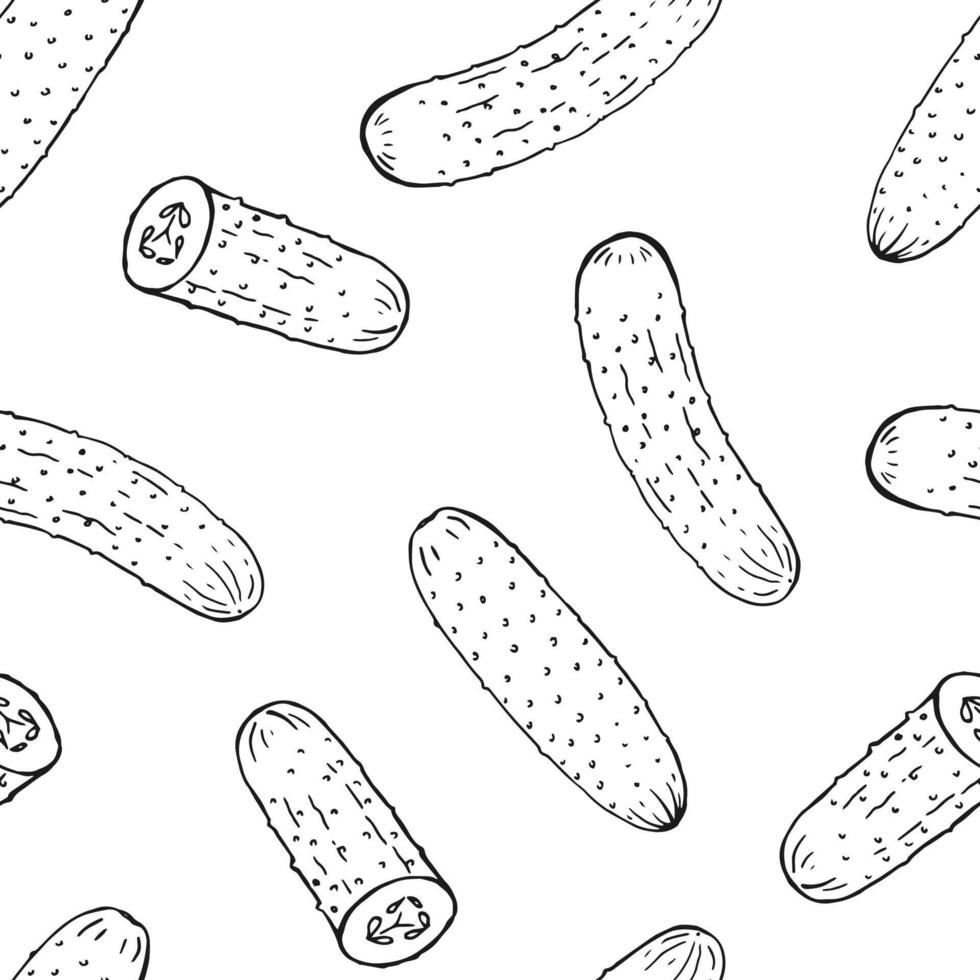 Seamless pattern with cucumber. Hand drawn illustration. vector