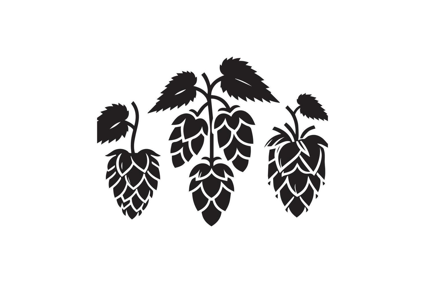 Three hops on a white background vector