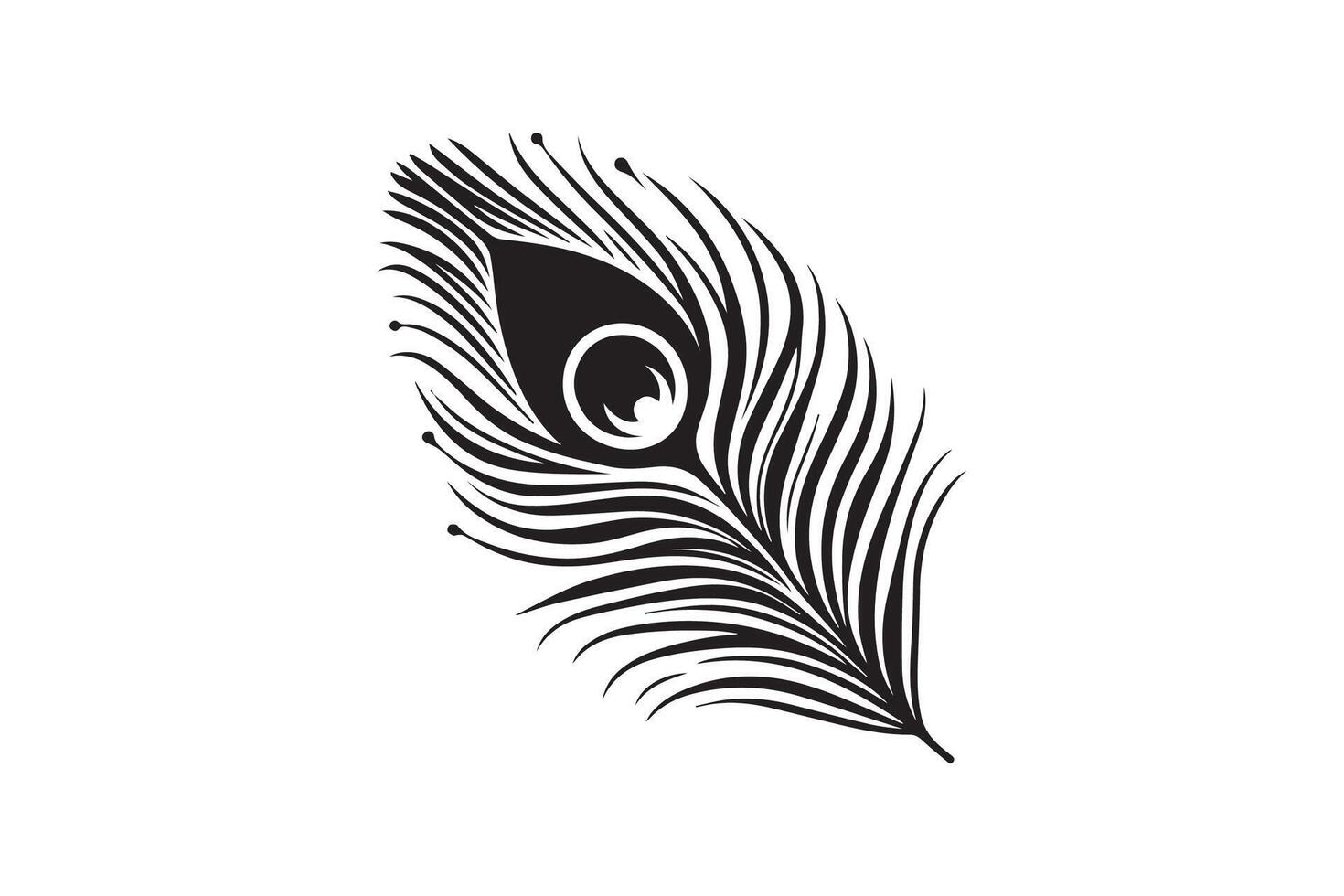 A black and white peacock feather on a white background vector