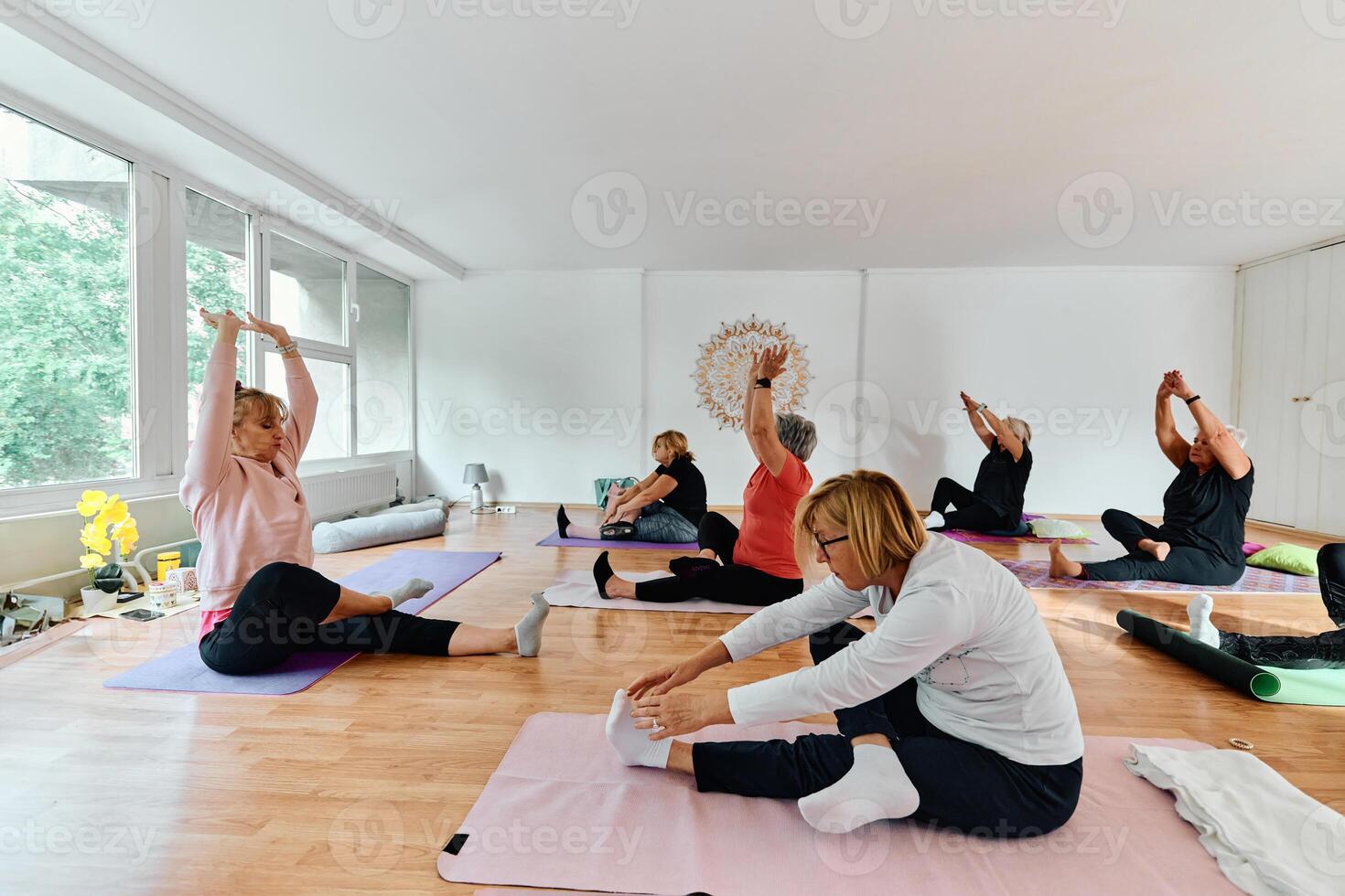 A group of senior women engage in various yoga exercises, including neck, back, and leg stretches, under the guidance of a trainer in a sunlit space, promoting well-being and harmony photo