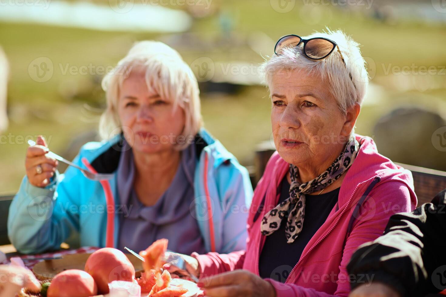 A family on a mountain vacation indulges in the pleasures of a healthy life, savoring traditional pie while surrounded by the breathtaking beauty of nature, fostering family bonds and embracing the photo
