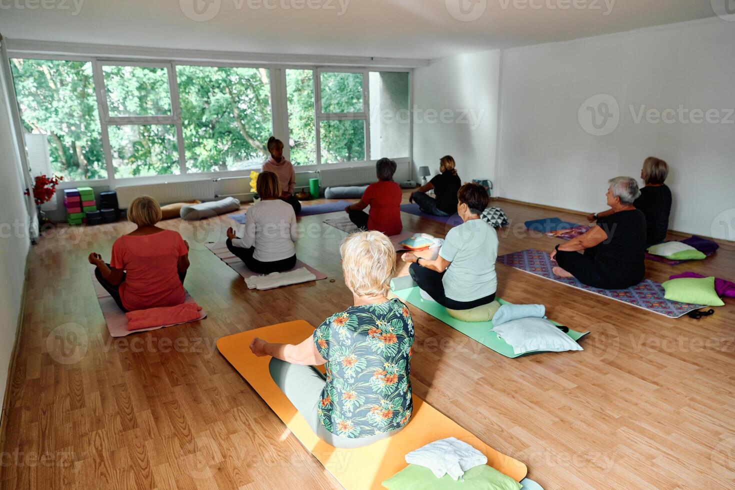 A group of senior women engage in various yoga exercises, including neck, back, and leg stretches, under the guidance of a trainer in a sunlit space, promoting well-being and harmony photo