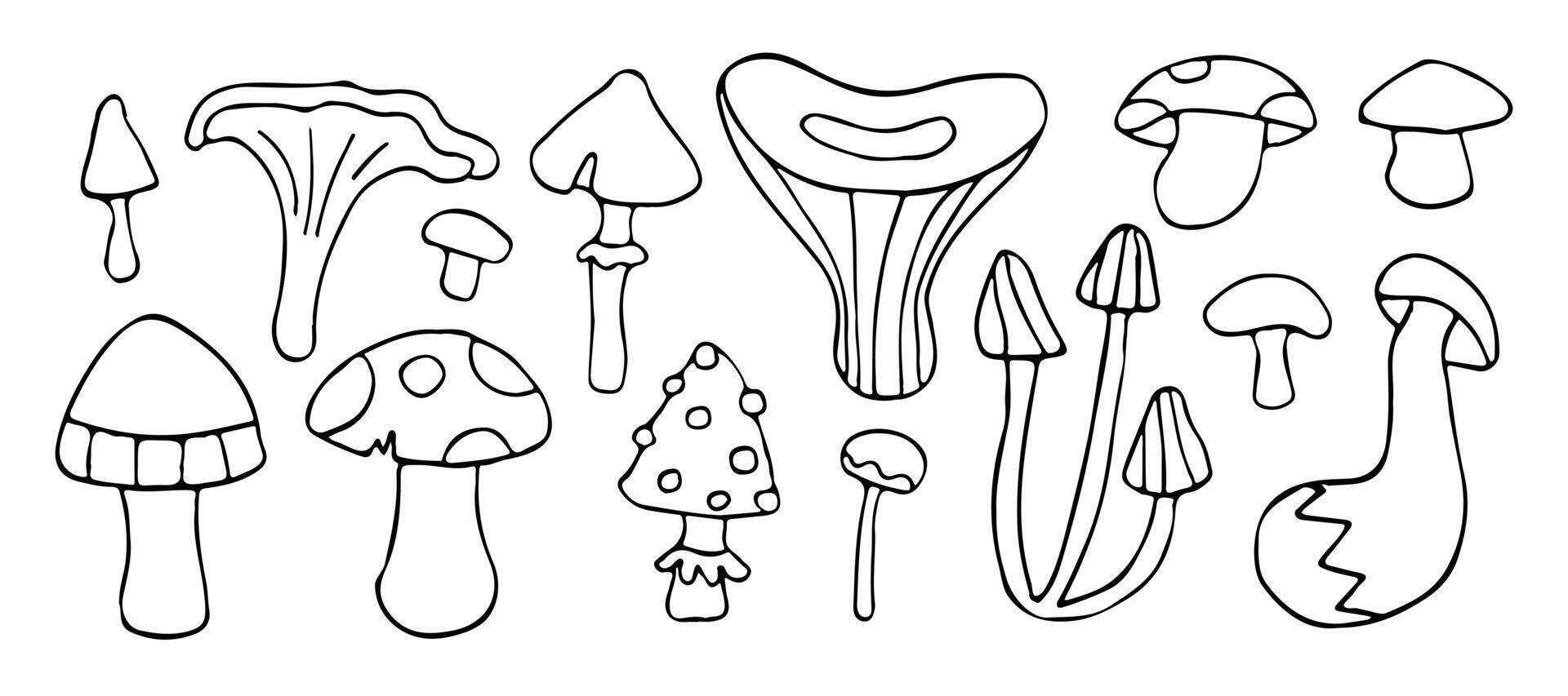 Whimsical mushroom doodles in black and white, featuring various fungi shapes in a playful, hand-drawn style. Perfect for nature-themed designs and illustrations vector
