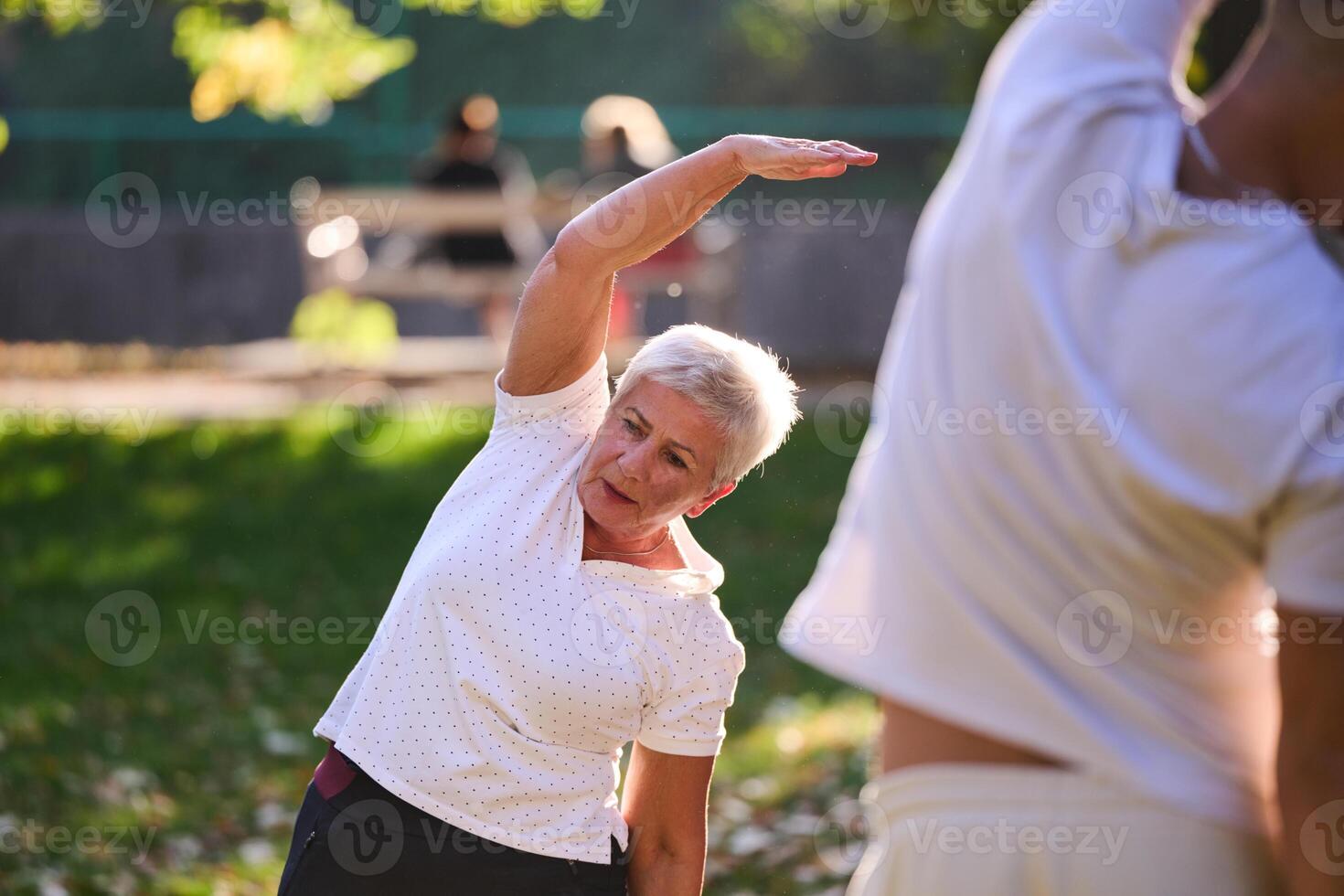 A group of seniors follows a trainer, engaging in outdoor exercises in the park, as they collectively strive to maintain vitality and well-being, embracing an active and health-conscious lifestyle in photo