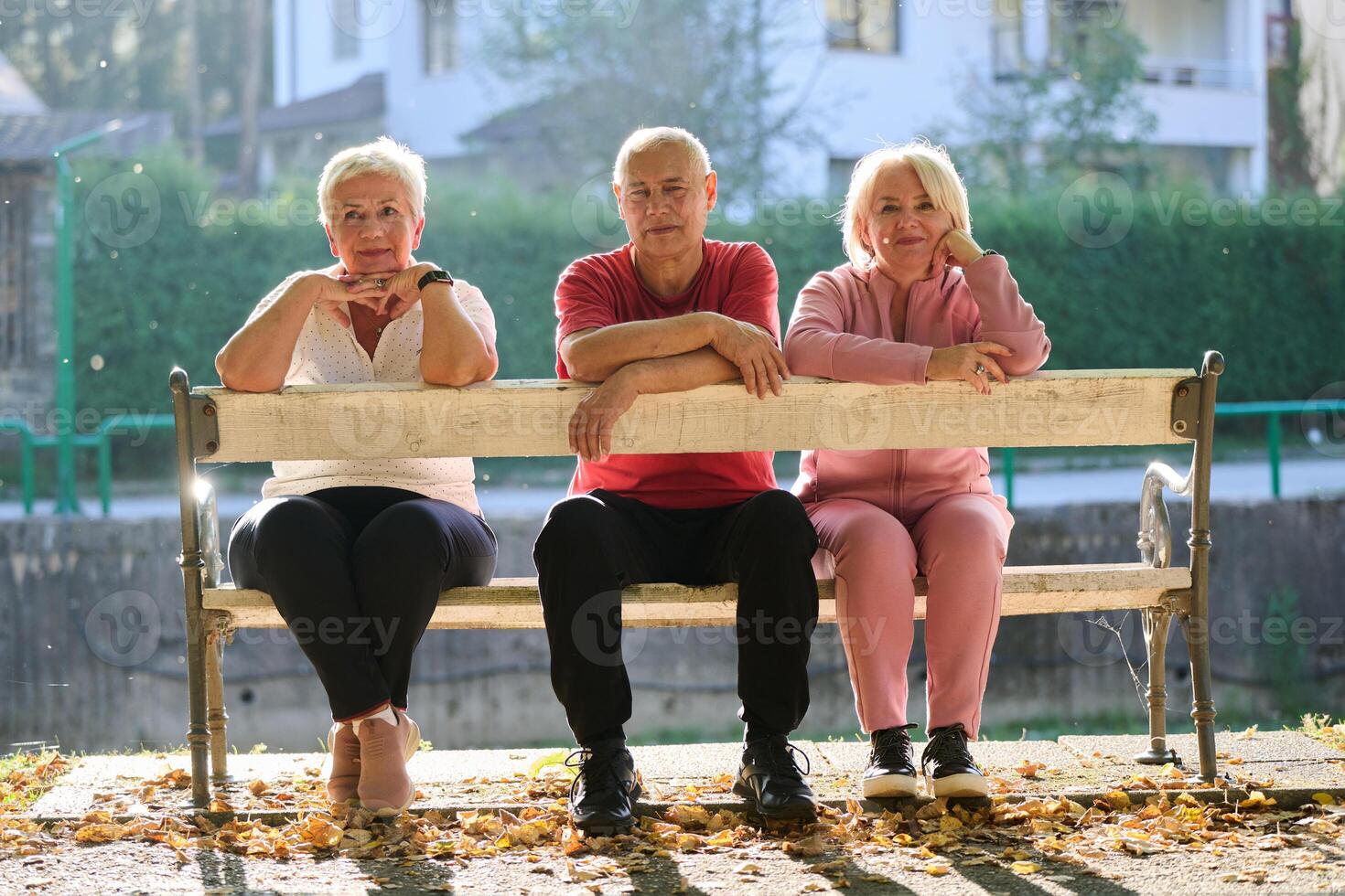 A group of elderly individuals, including a senior man and two older women, sits in a park on a sunny autumn day, embodying the concept of healthy aging through companionship, relaxation, and outdoor photo