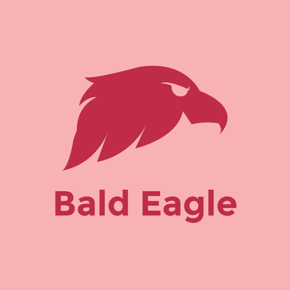 Bald Eagle head side view with angry eyes vector