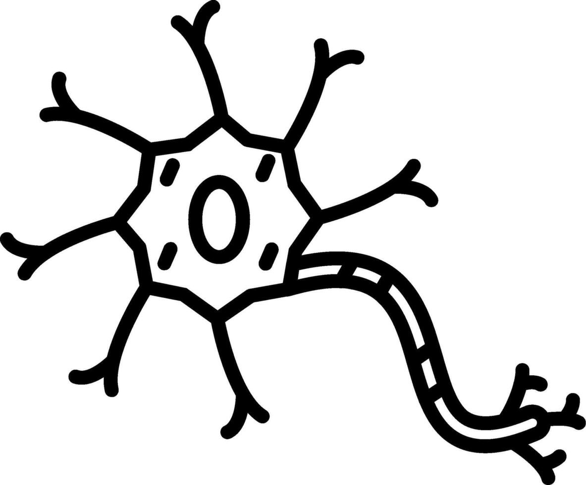 A neuron is shown in a black and white drawing vector