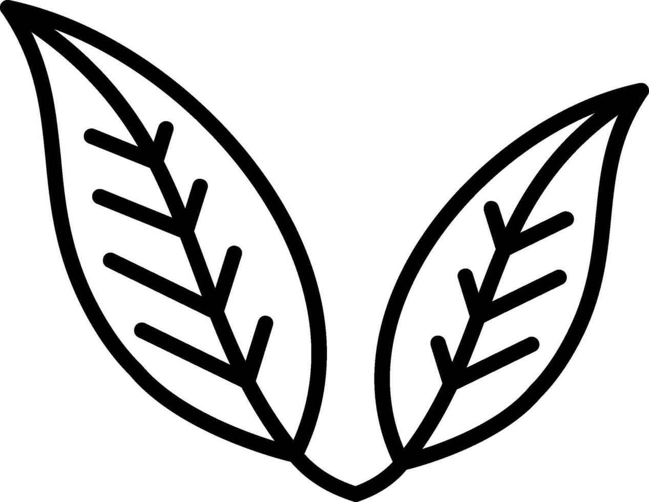 A black and white drawing of two leaves vector