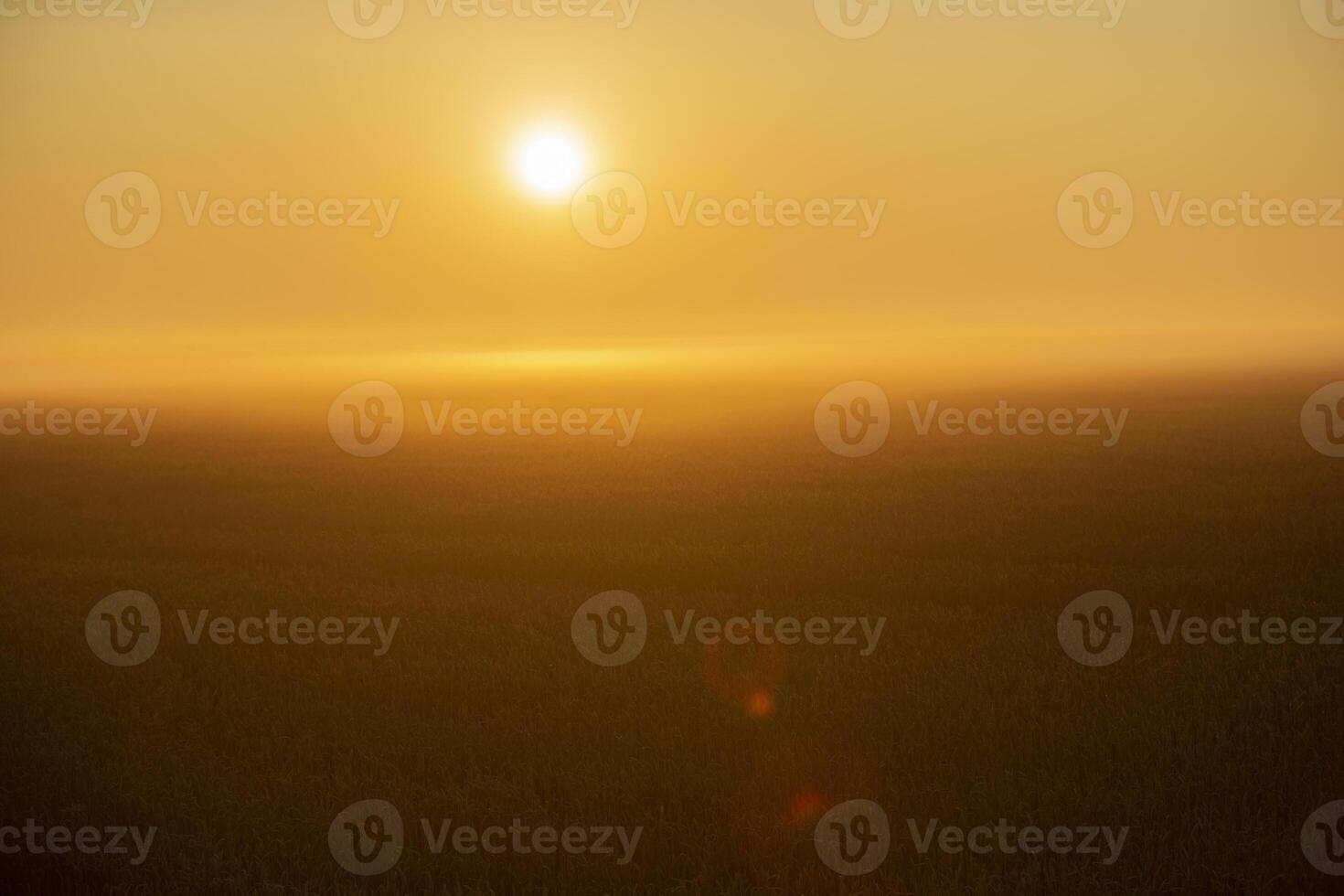 Blurred background field at sunset with the sun photo