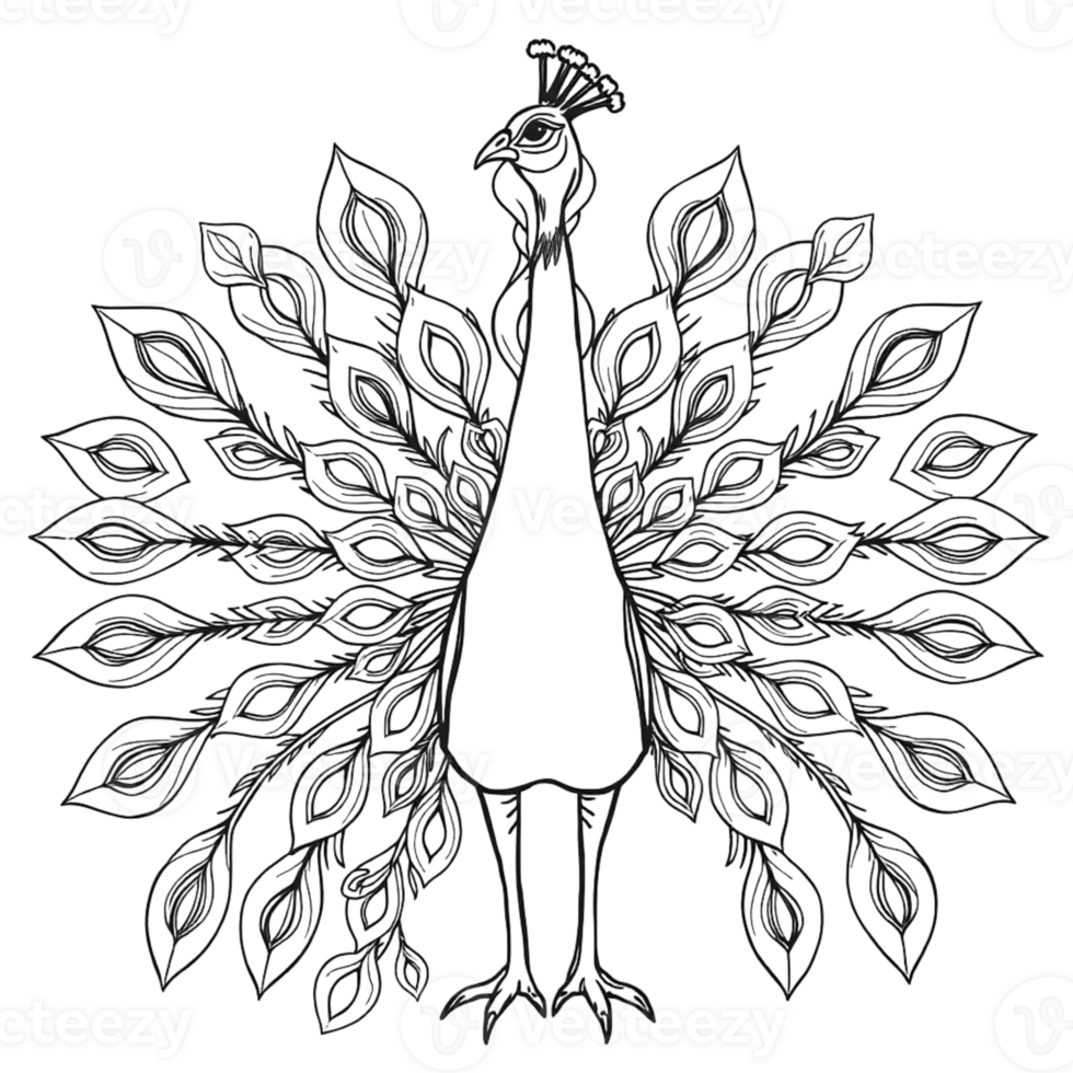 Coloring page outline of a peacock on an Isolated transparent background. png