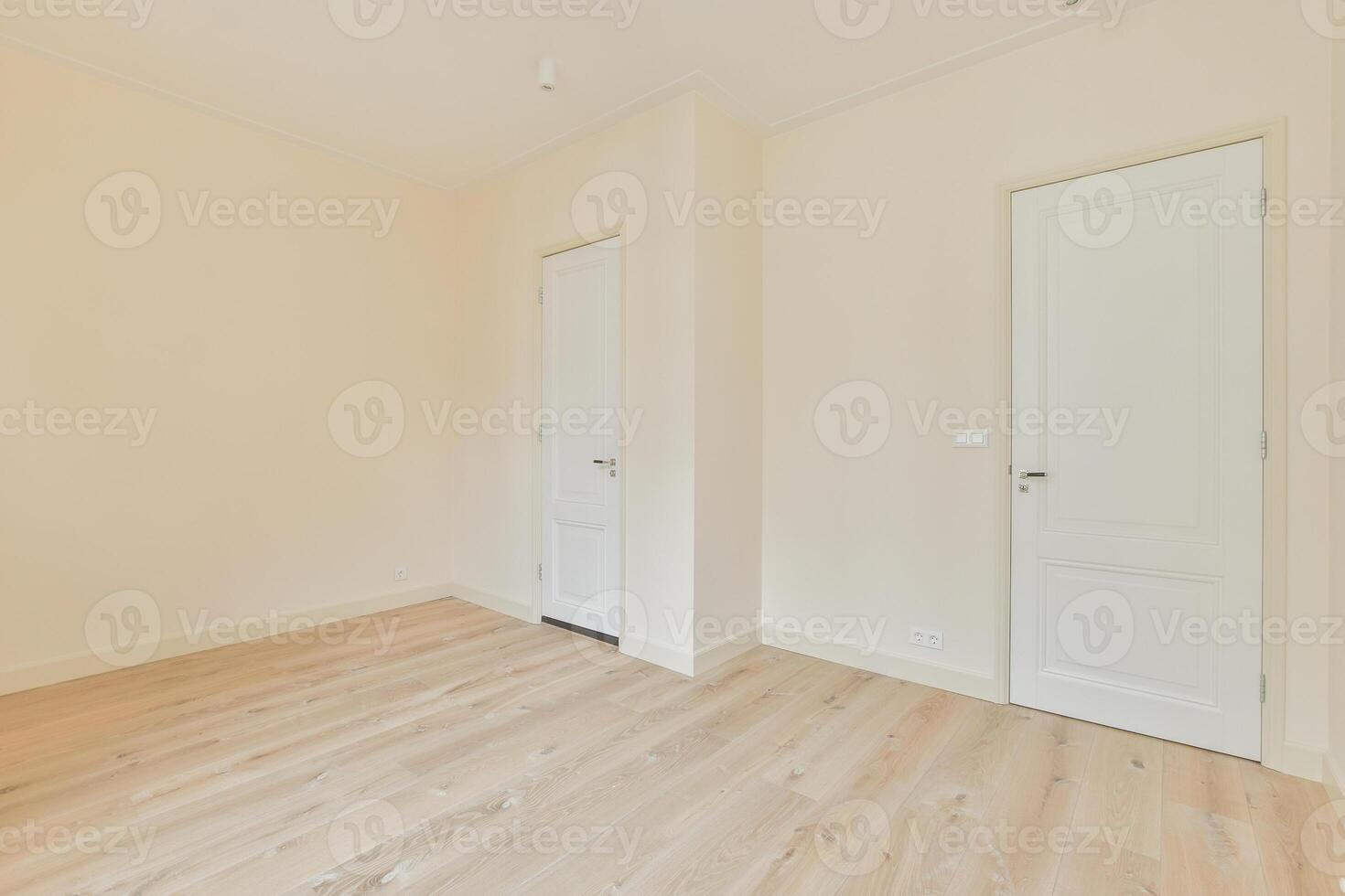 Empty room with wooden floors and white doors photo