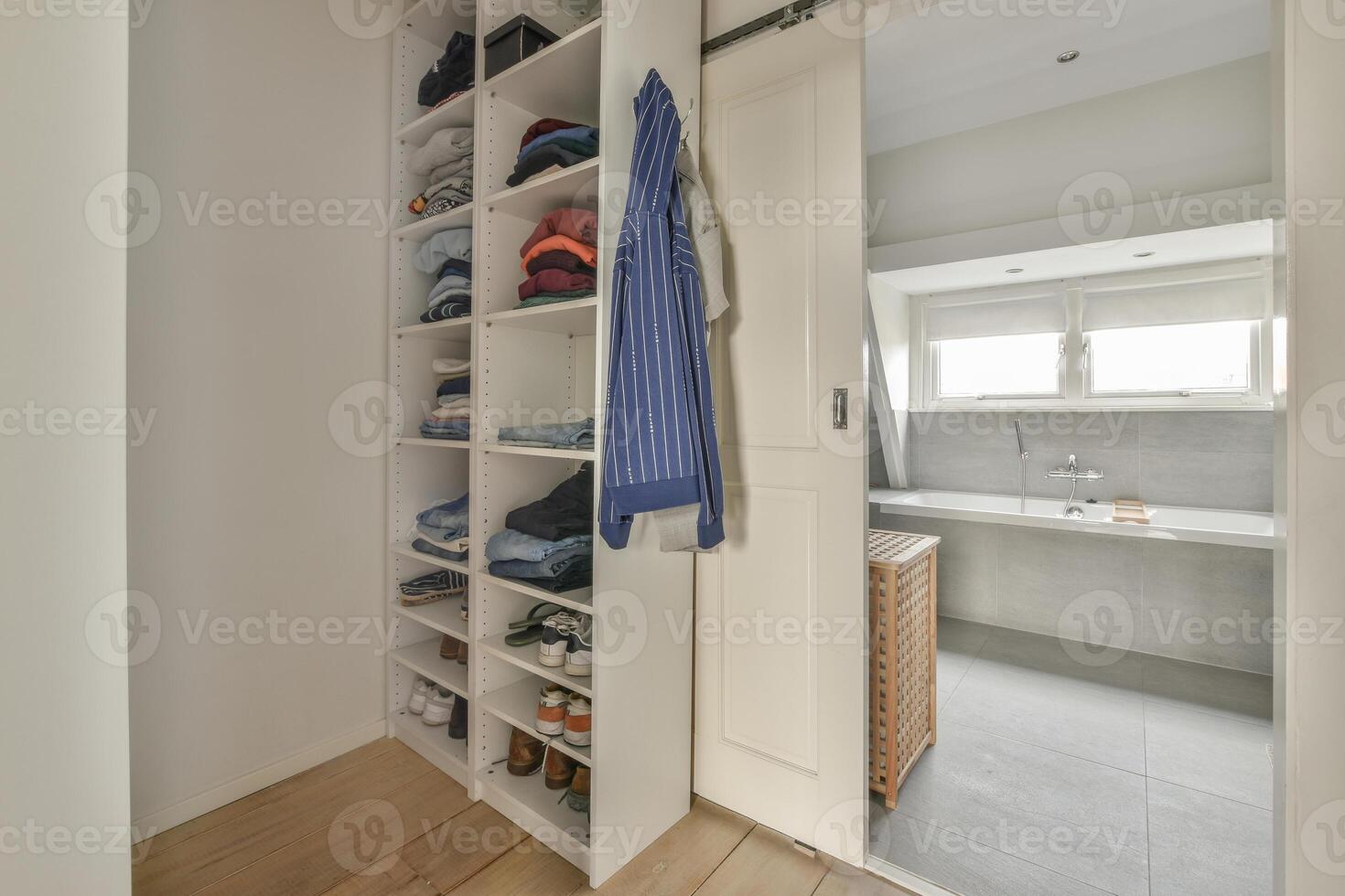 A closet with a door and a sink photo