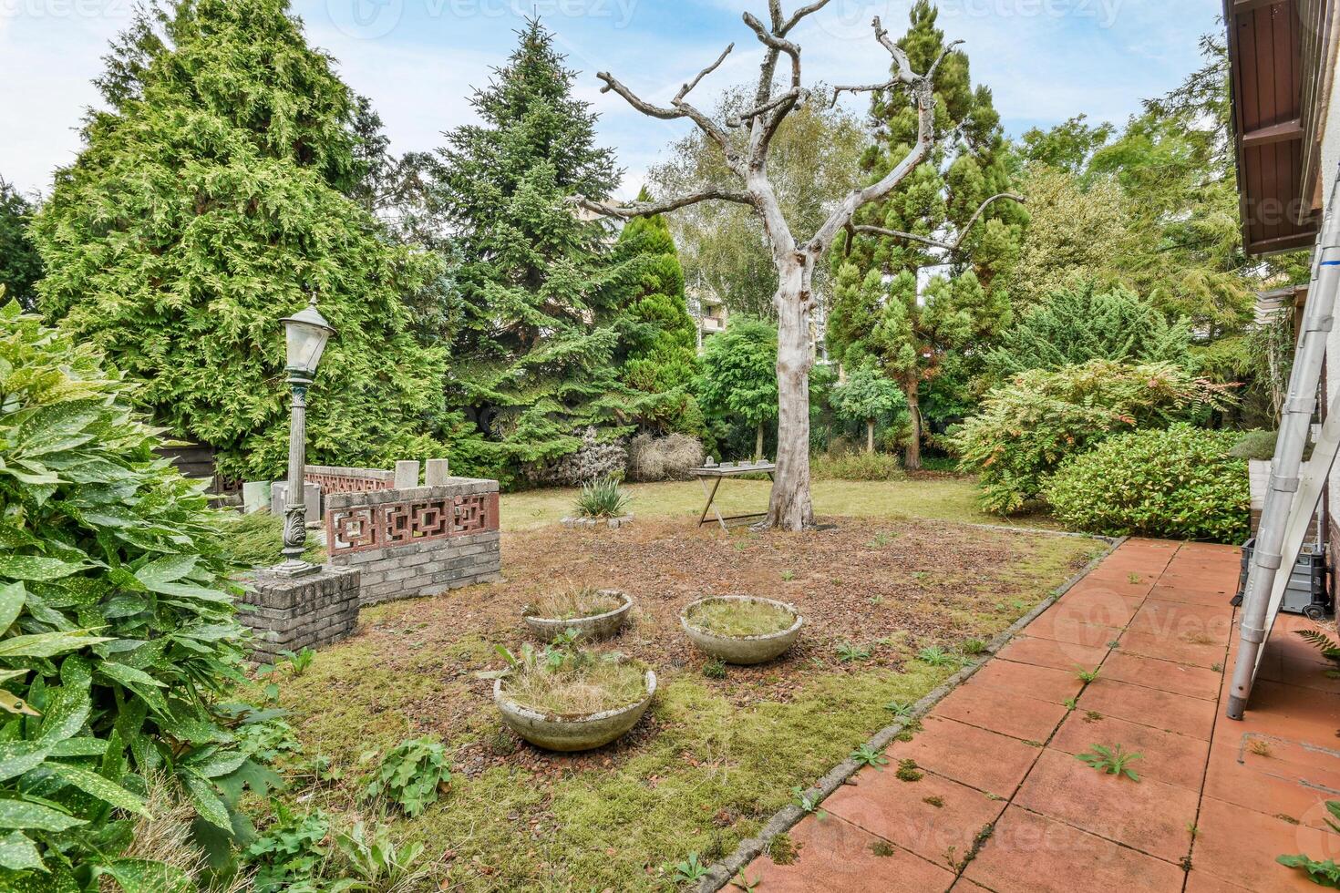 A yard with a tree and a bench in the middle photo