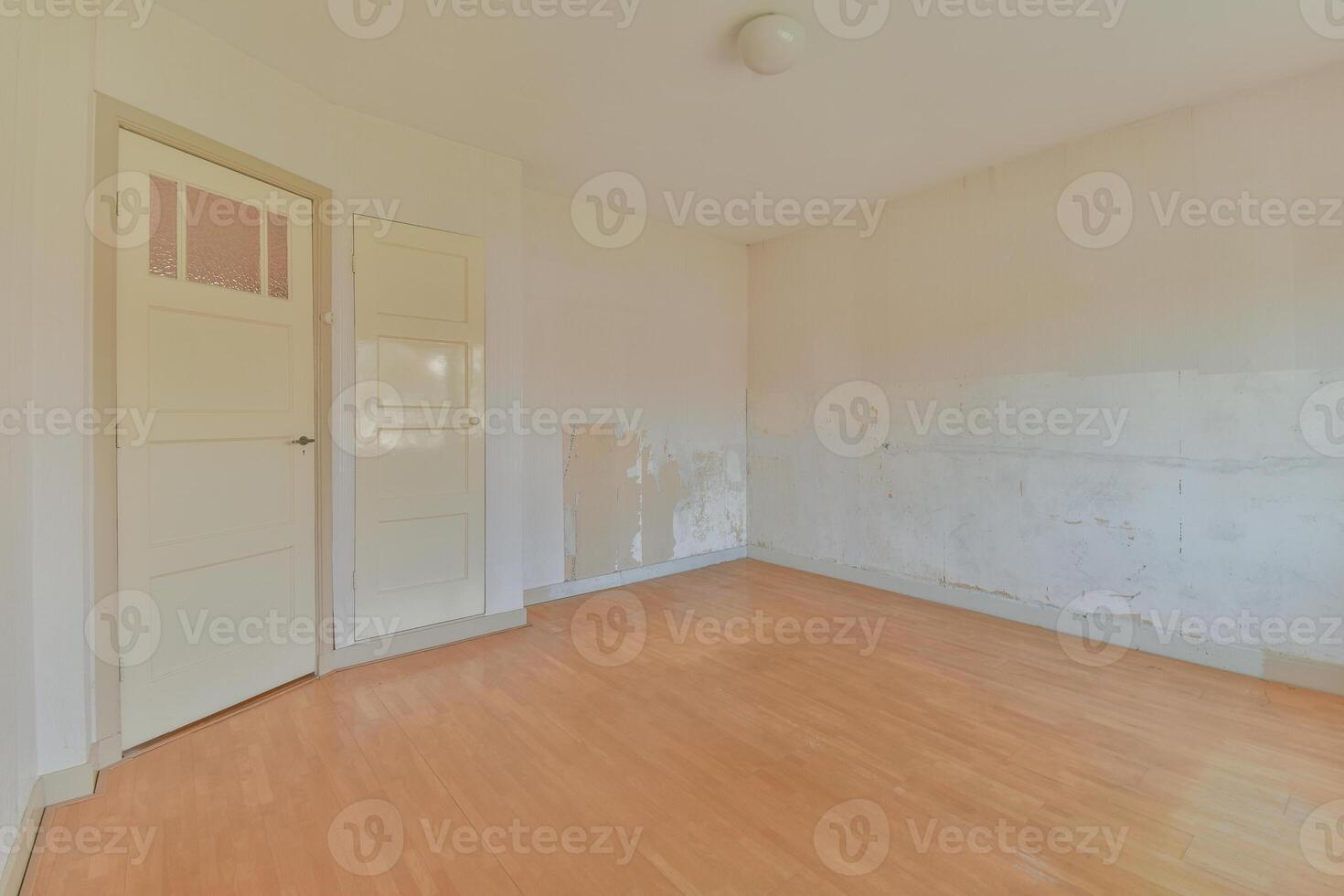 Empty room with wood floors and a door photo