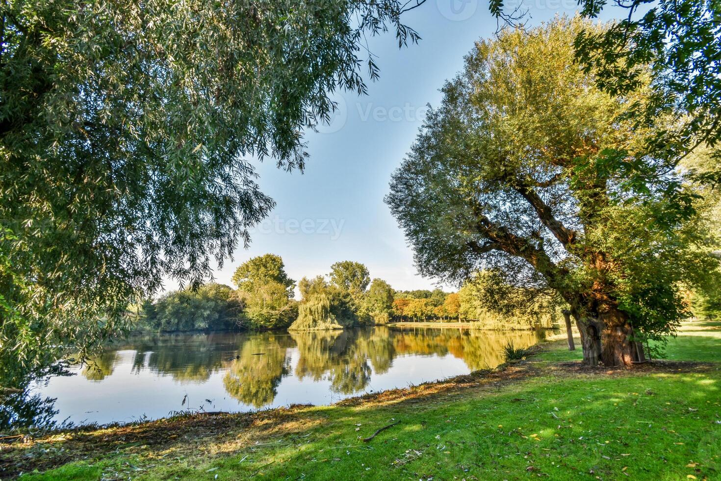 A park with trees and a lake photo