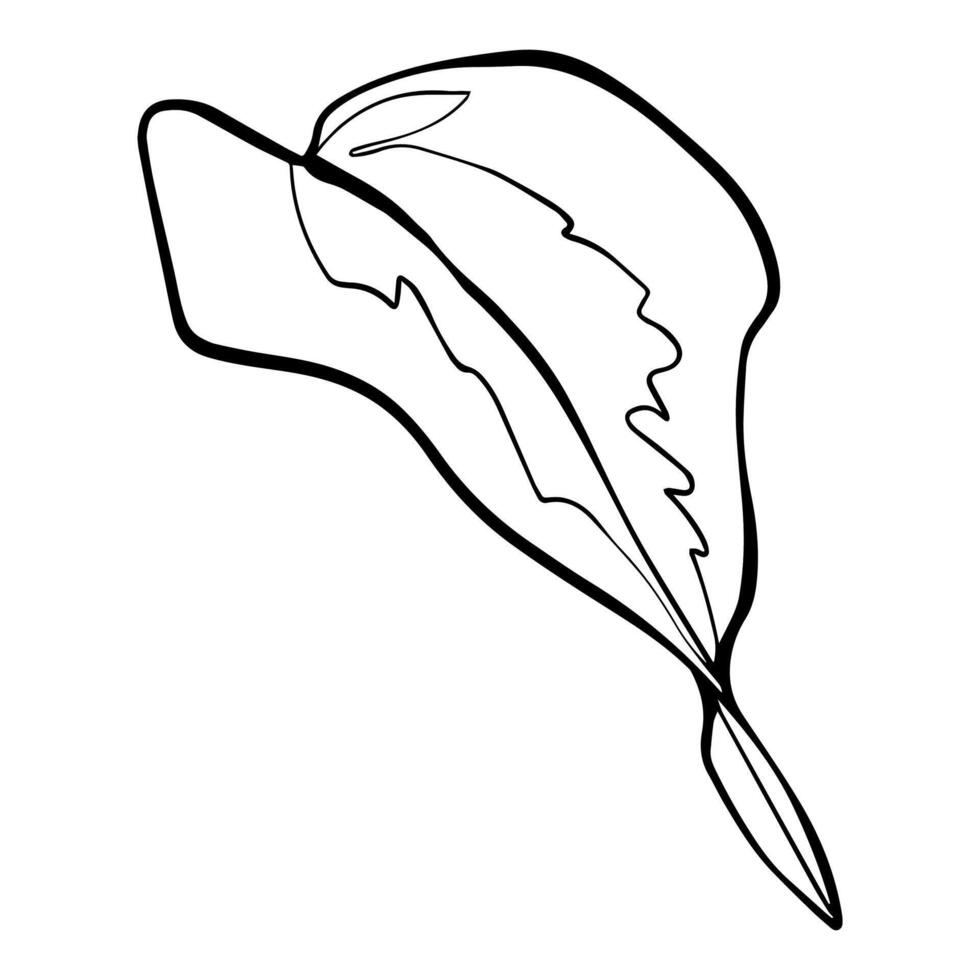Ivy leaf graphics. Sketch illustration plant painted by black inks. Linear drawing foliage on isolated. Line art style for greeting cards designs vector