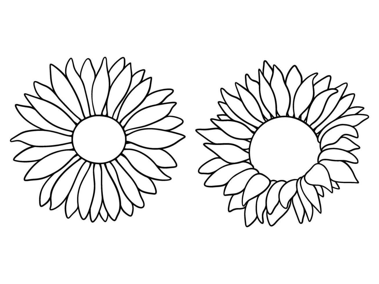 sunflower illustration set in line art style. Graphic monochrome drawing. Hand drawn floral outline sketch, engraved illustration. Design element for coloring book, tattoo, logo, icon, label. vector