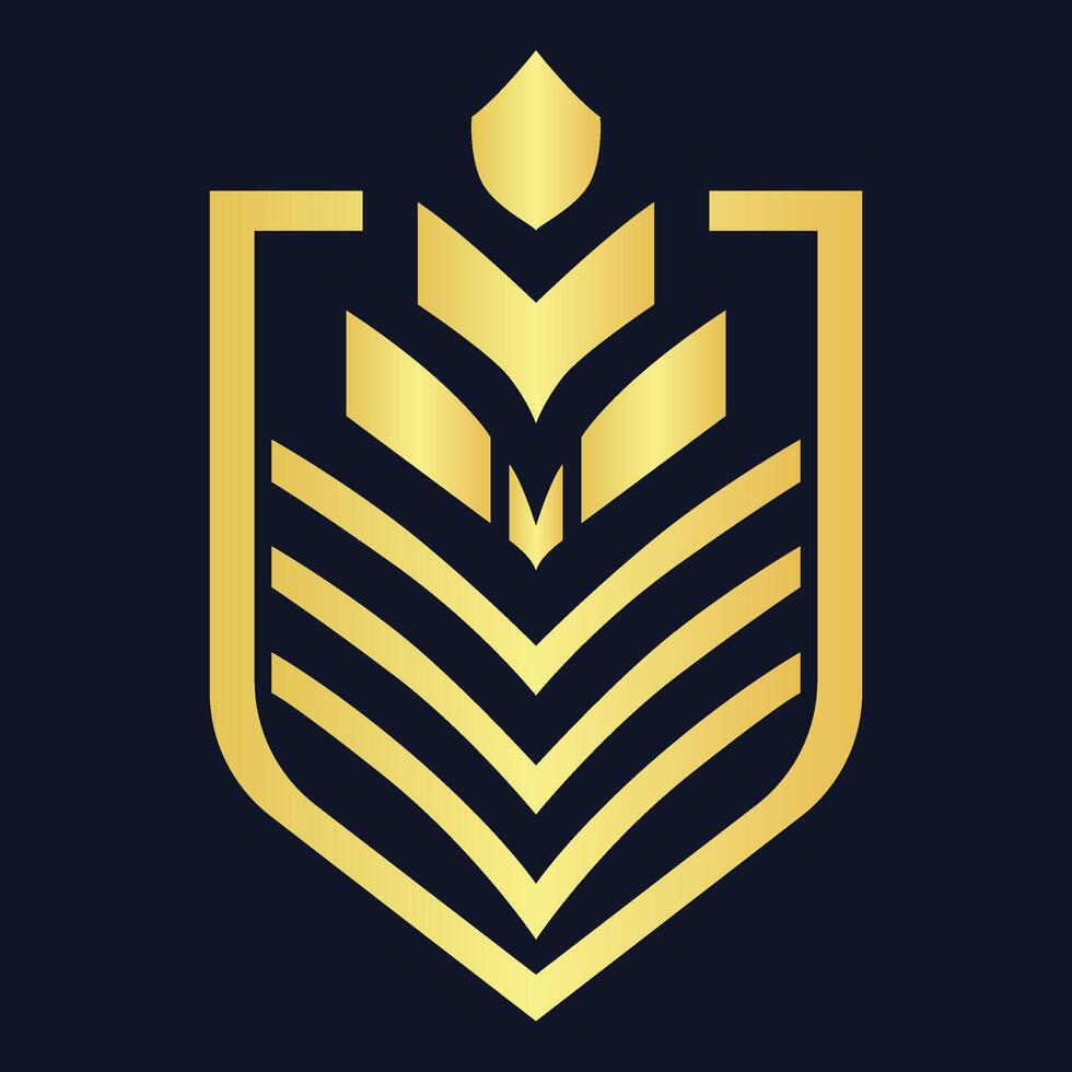 golden shield emblem on black background vector