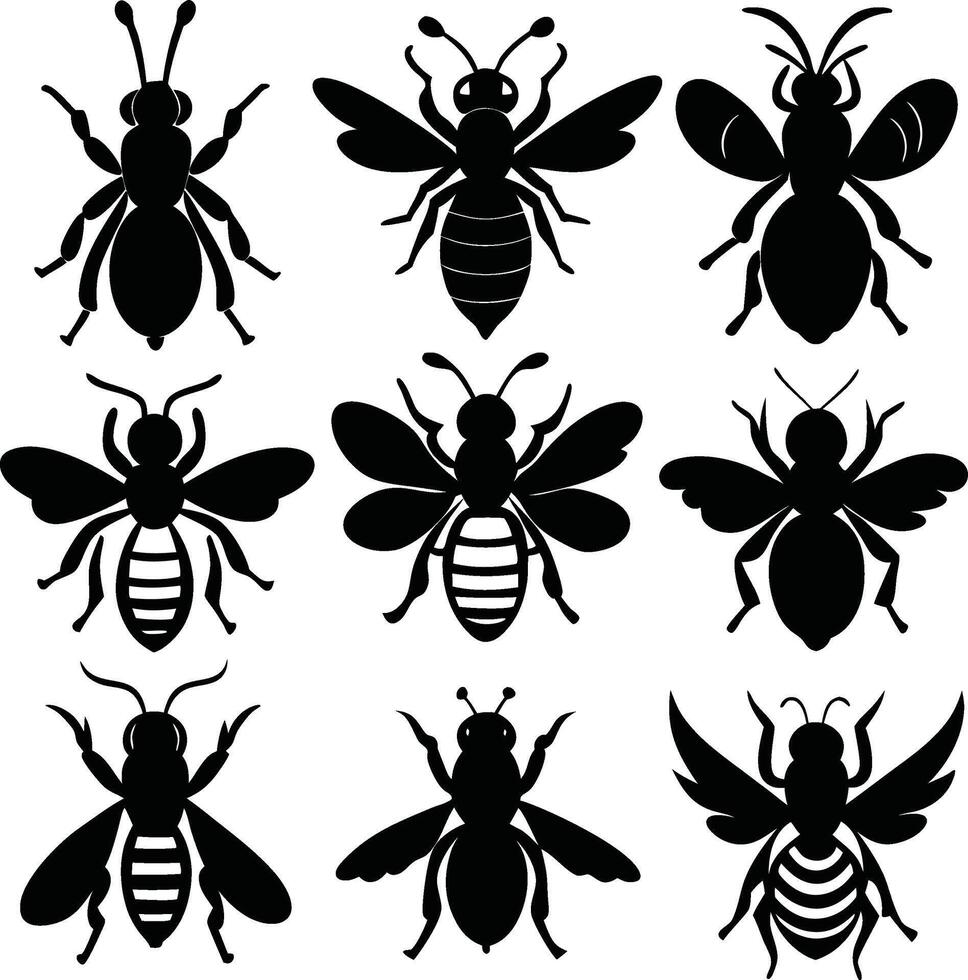Isolated Bee Silhouettes in Various Poses vector