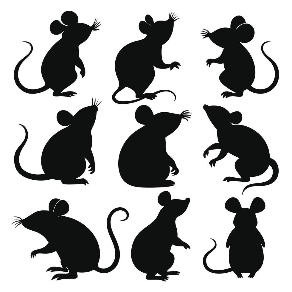 Isolated Rat Silhouettes in Various Poses on White Background vector