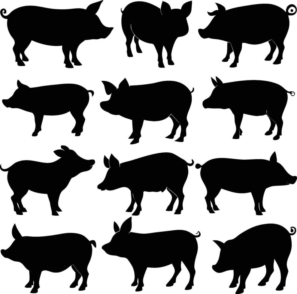 Isolated Pig Silhouettes in Various Poses on White Background vector