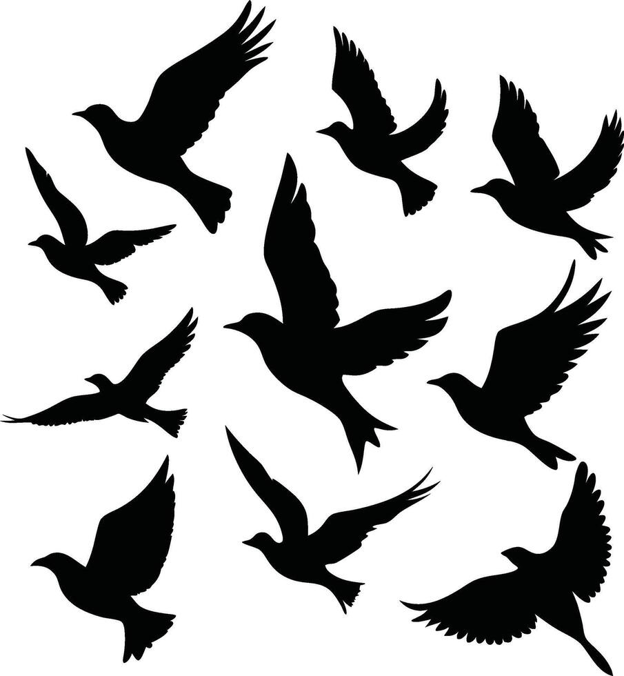 Isolated Flying Birds Silhouettes in Various Poses on White Background vector