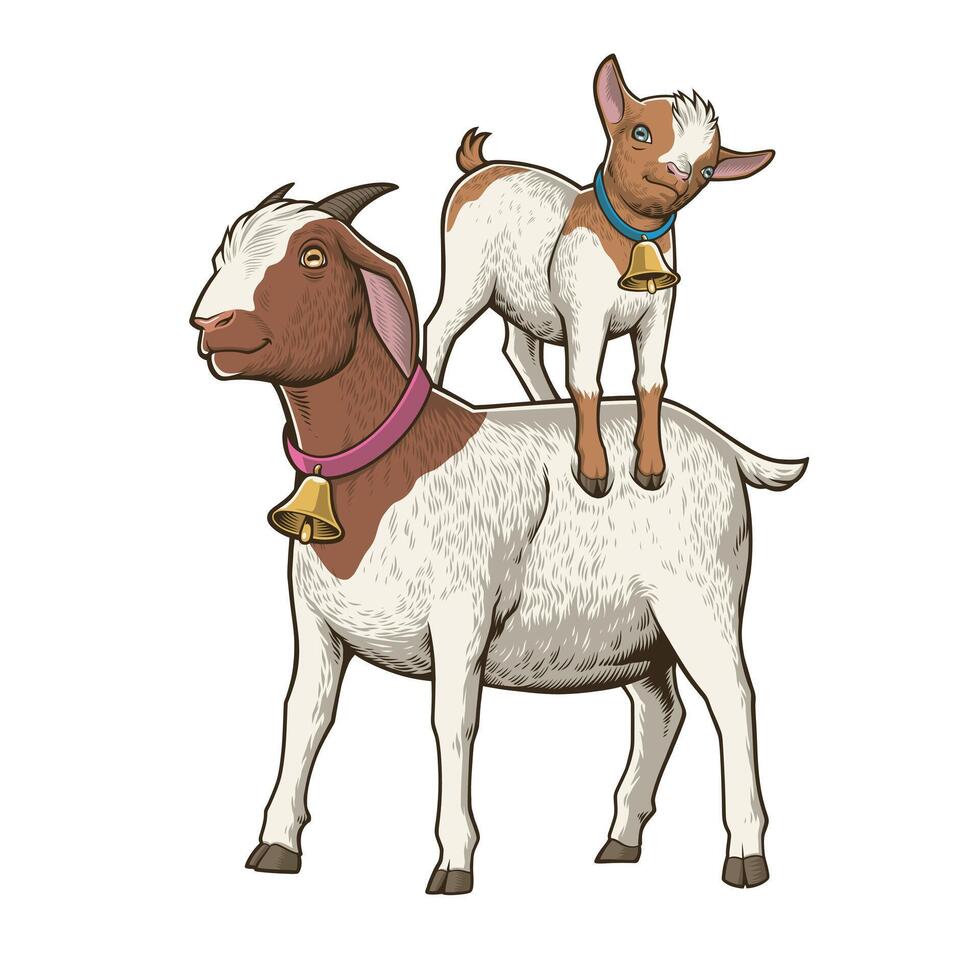 A Kid Standing on a Goat Back vector